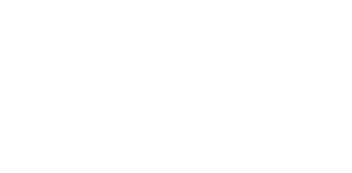 Knut and Alice Wallenberg Foundation